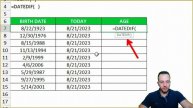 How to Calculate Age in Excel with Automatic Update | DateDif and Today Function