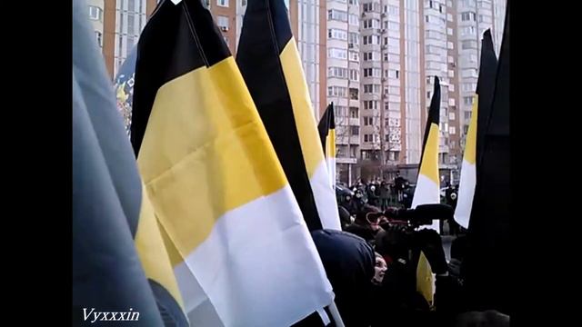 Свободу Тесаку!!! Москва 04.11.2014 (Снимал Vyxxxin))))