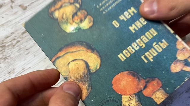 Блокнот О чем мне поведали грибы!