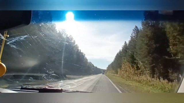 И вот мы вместе/ Дети с нами/ Заехали в  Богдановичесеий комбикормовый завод купить кормов.