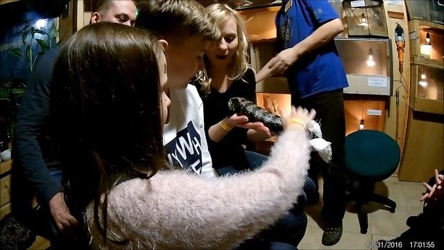 Самый страшный контактный зоопарк в мире! Пауки ящерицы и змеи! А вы бы смогли погладить змею?
