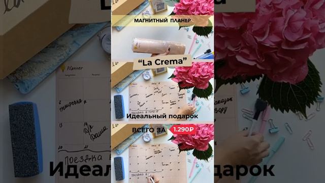 Планер магнитный 100PLAN