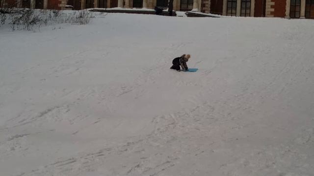 Веселое катание в воронцовском парке