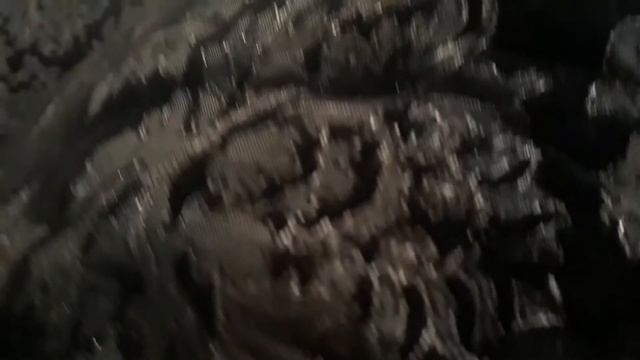 Щенок занюхнул камеру. Крупный план