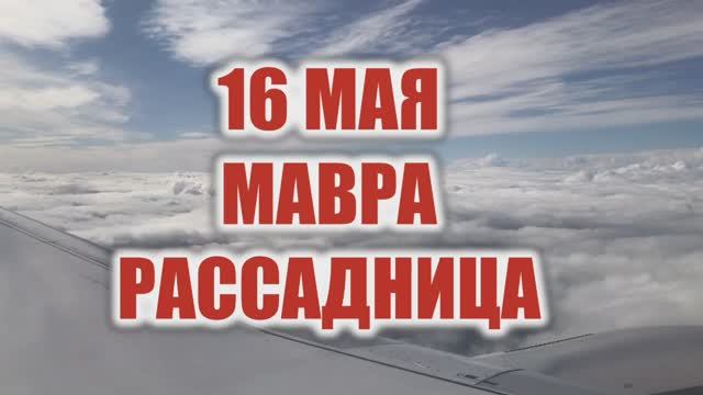 16 мая МАВРА РАССАДНИЦА традиции и обычаи дня