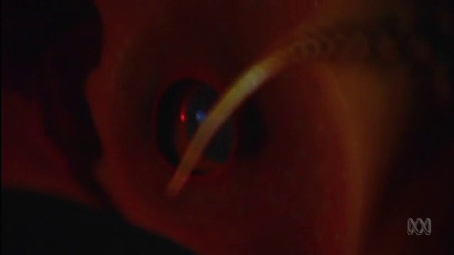 The Deep Sea ecosystem