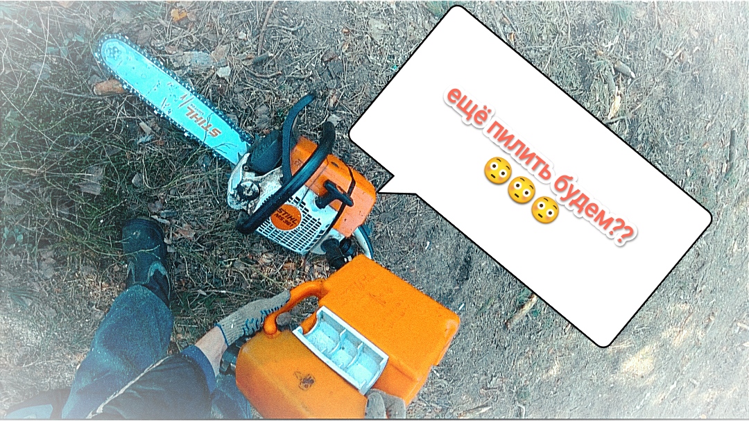 Валка леса ?? // Один день из жизни беларуского вальщика ? // Stihl ms361