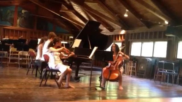 Presto from a Haydn Piano Trio (I forget which one)