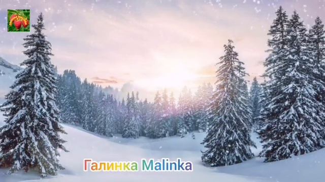 Лена Хеппи /USA HAPPY EVERY Day //Обзор Влогов //Владелица трака//Скрыла опять канал //