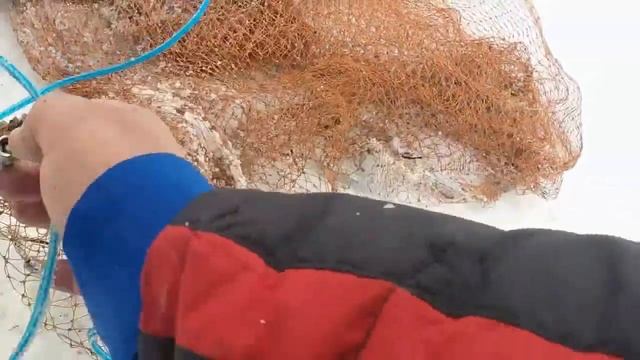 рыбалка кастинговой сетью зимой и щука на 3,400