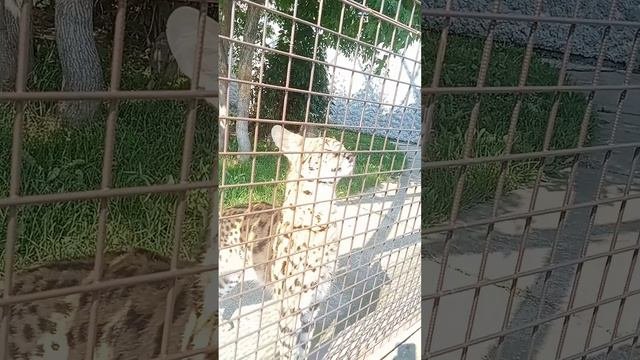 милашка❤❤❤