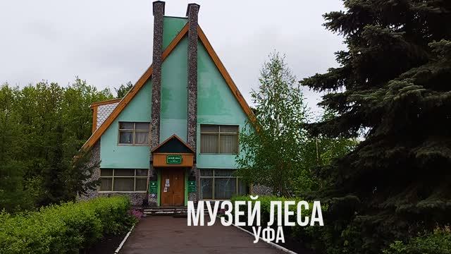 Музей леса