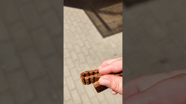 Бокоте. Самое дорогое дерево.