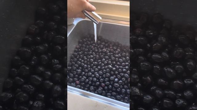 Маринованные оливки и маслины