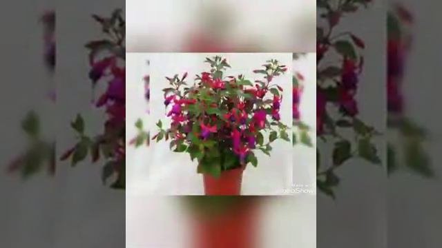 ОНЫТЫРГА МӨМКИН ТҮГЕЛ