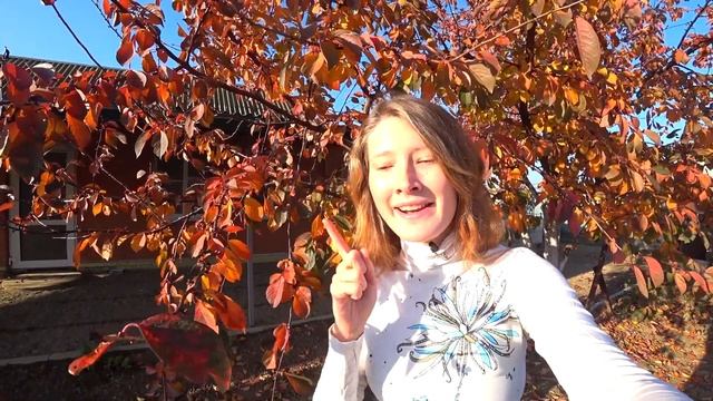 Как мы живем после переезда в Краснодарский край? | Наш огород