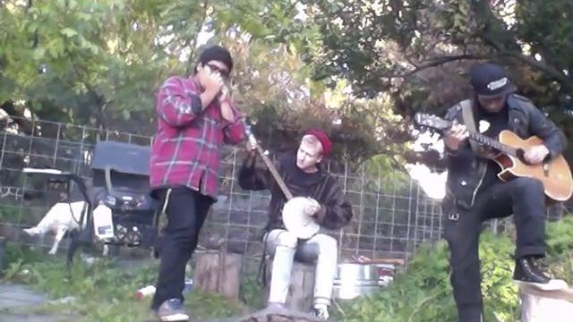 The Cascadia Comrades Playing acid song by johnny hobo.