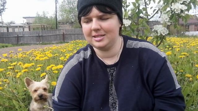 Что на спицах? Мои процессы, которые взяла с собой... Новый процесс и планы!