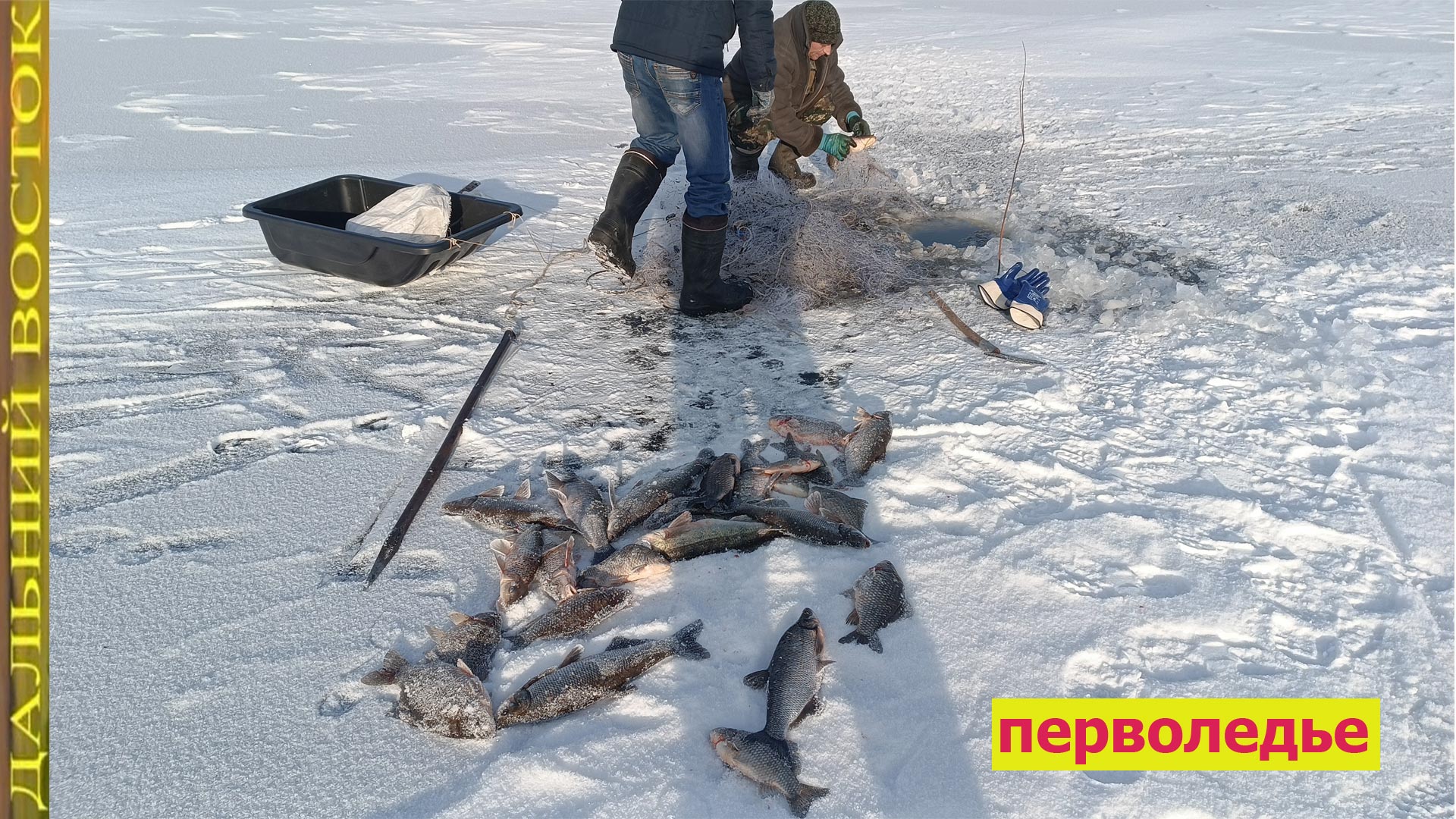 Проверка сети по перволедью..avi