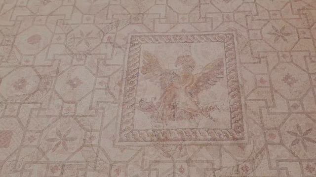 Кипр. Экскурсия в Пафос. Мозаики.