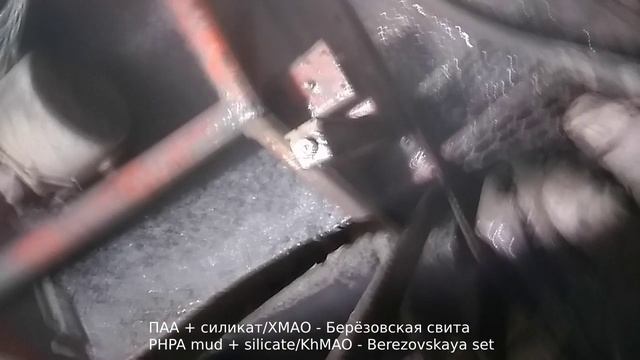 ПАА + силикат ХМАО Берёзовская свита / PHPA mud + silicate KhMAO Berezovskaya set (gumbo)
