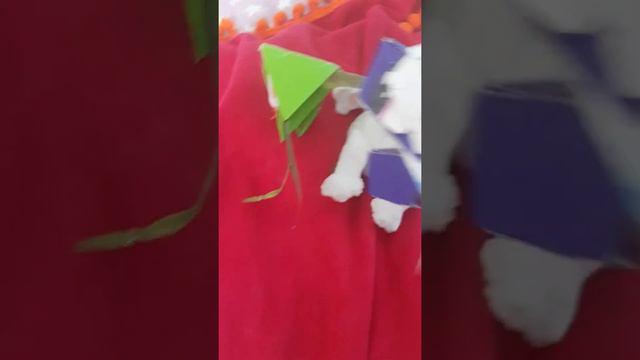 Что же изменилось пока меня не было? (простите что так мало изменений)