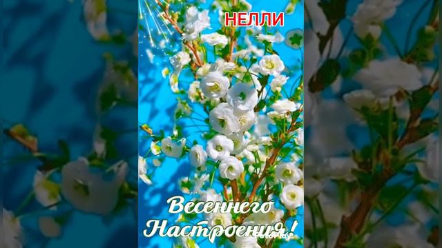 Весеннее настроение!!!