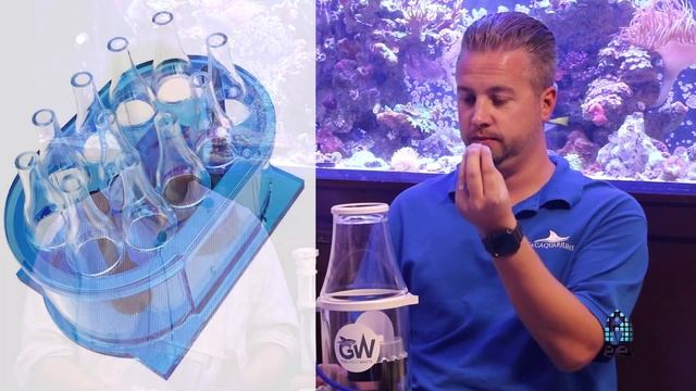Reefs.com: My take on Dalua Australia's Great White Protein Skimmers