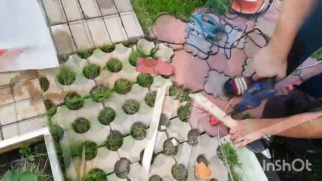Насест для кур своими руками