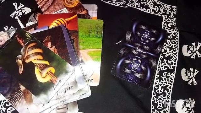 Что хочет сказать о вас пространство?