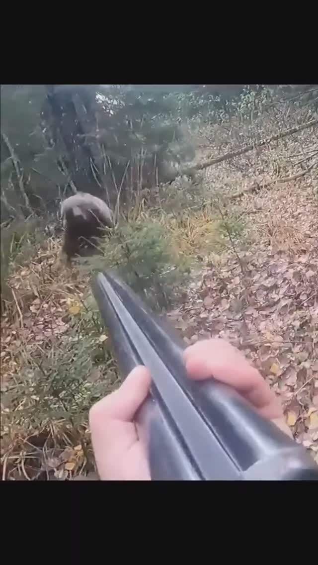 Медведь атаковал охотника