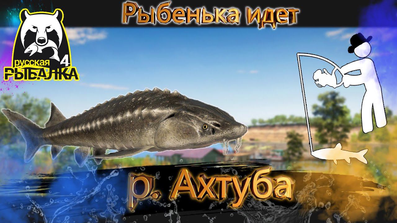 RF4 ВОТ ГДЕ ОБИТАЮТ ТЯЖЕЛОВЕСЫ И РАЗМОТЫ #рр4