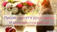 Хорошего настроения 🎉