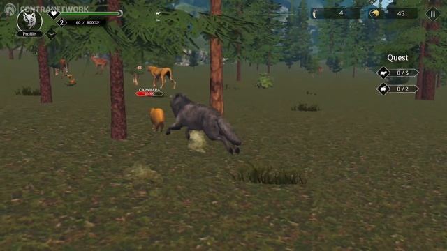 Wolf Simulator: RPG Survival Animal Battle on Nintendo Switch | Gameplay