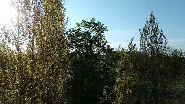 Стрижи прилетели... Теперь ракеты Калибр летят...