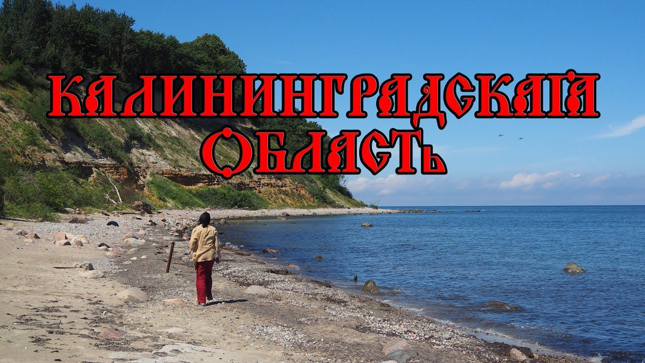 Калининградская область, июль 2024 г.