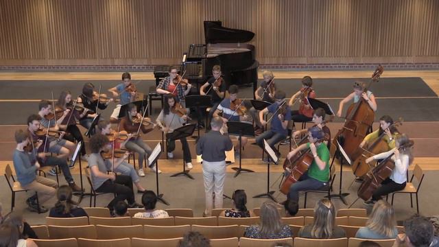 B17COb - Chamber Orchestra, Friday 25 August, Bryanston Suzuki 2017