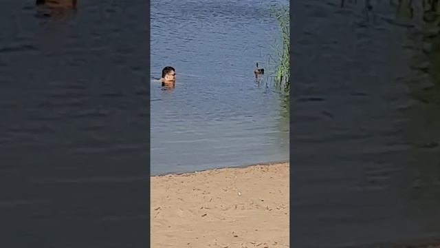 Доверие 🤗🥰🦆
