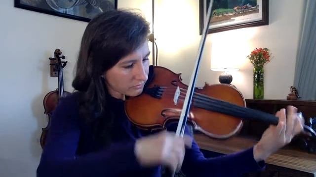 Tower Strings Entertainer Vs. Rockstar Violin Showdown! Which Beginner Violin Is Right For You?
