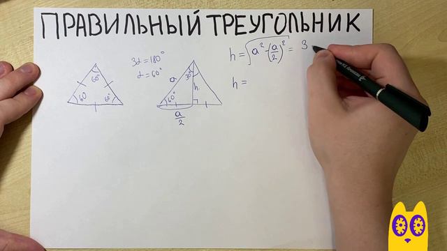 Вся теория 1 Задания ЕГЭ по Математике профиль