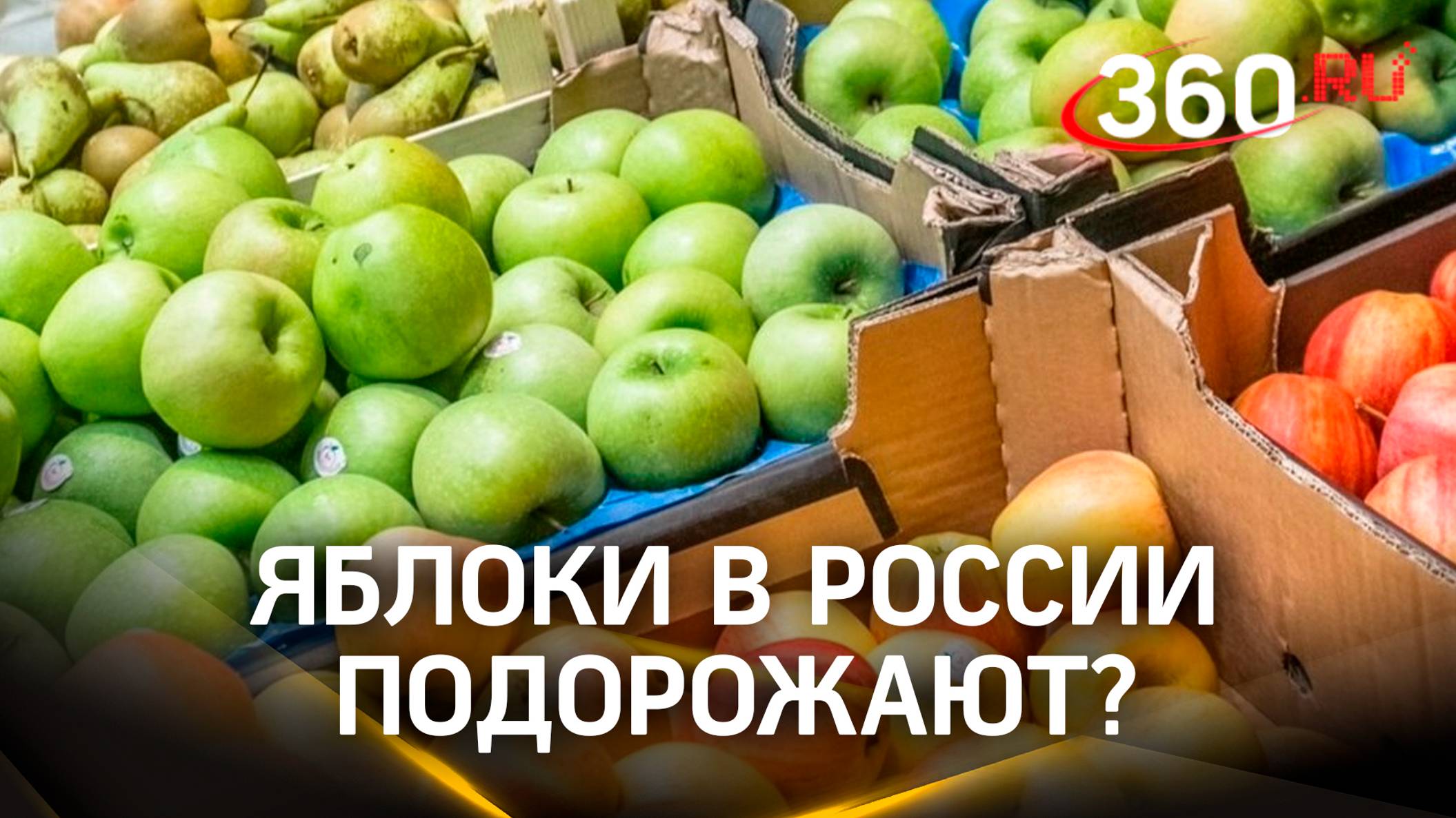 Подорожают ли в России яблоки? Минсельхоз предупредил о необходимости экспорта после заморозков