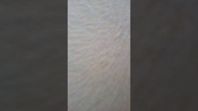 Складываю мозаику