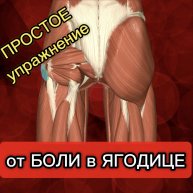 Болит ЯГОДИЦА | Что делать?