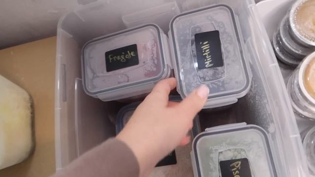 L' organizzazione perfetta è fatta così | Come organizzo il mio congelatore 1000 preparazioni e ide