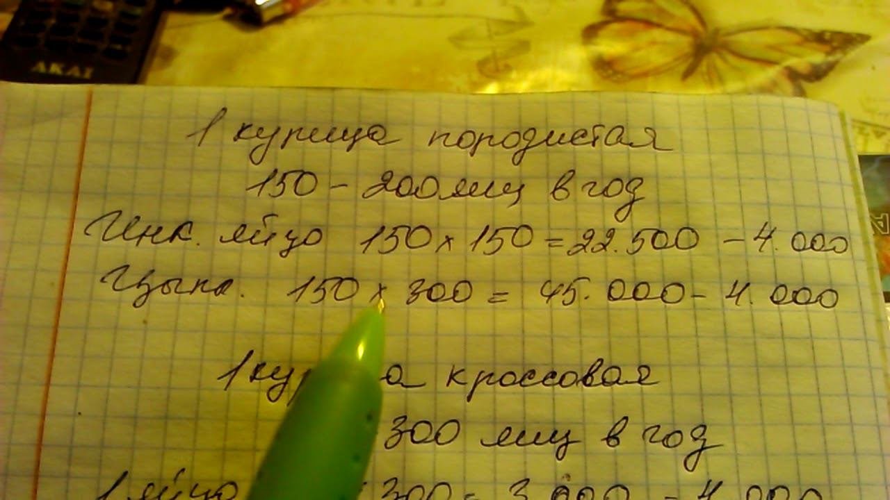 Заработок на курах.
