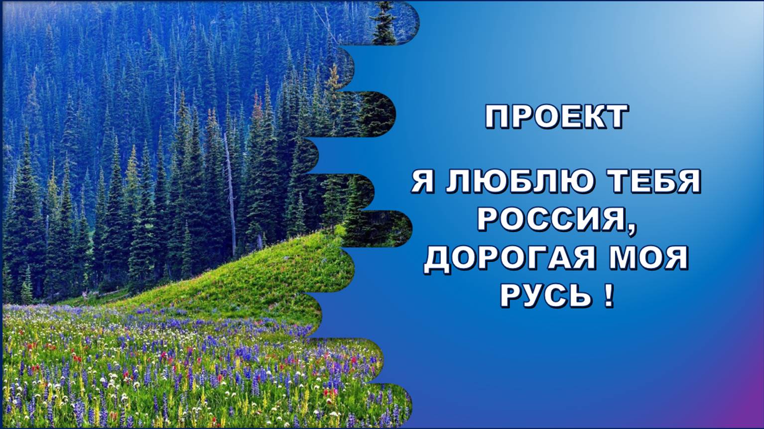 Проект я люблю тебя россия
