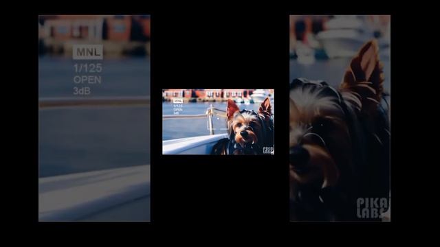 фильмы , видео - от нейросети #нейросети#видеоналюбойвкус#neural networks