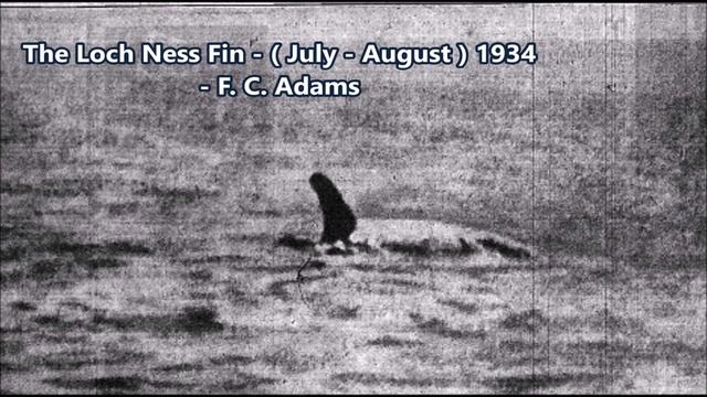 Was The Loch Ness Monster A Whale ?