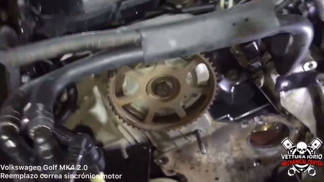 Cambio de correa Volkswagen Golf MK4 2.0