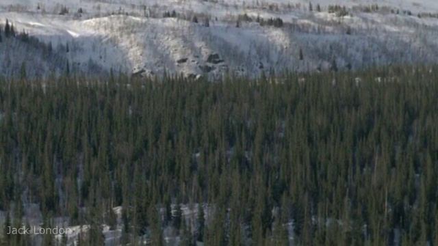 Владимир Лисицын - Летит Душа (HD 1280x720)